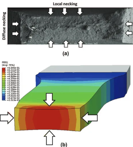 Fig. 12a and b shows, respectively, the numerical and experimental results of the diffuse and local necking in tensile test, also an  eval-uation of strain distribution throughout a section parallel of the load axis