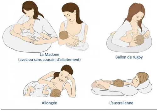 Figure 5 : Les positions pour l’allaitement (13) 