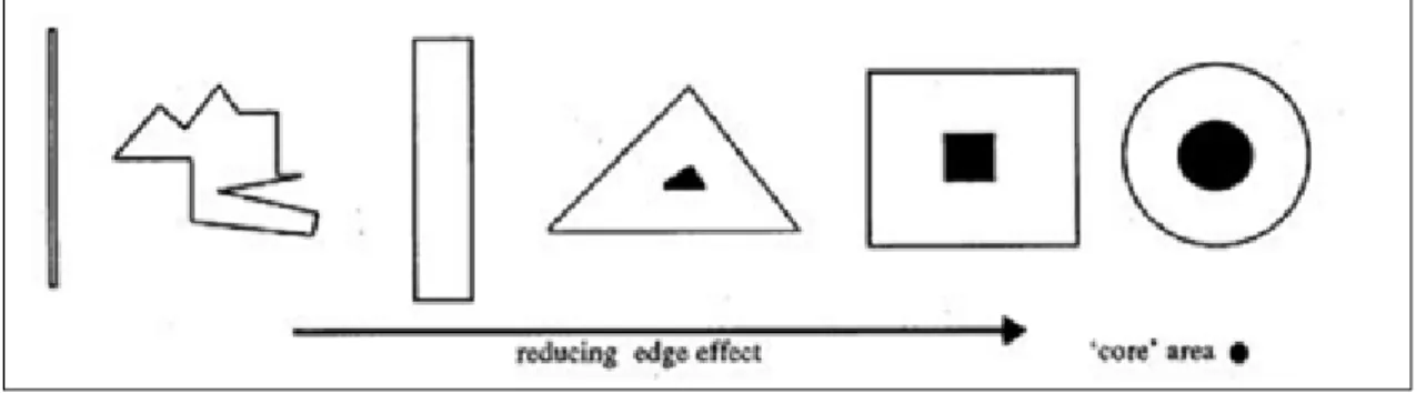 Figure 2.1 Exemple de réduction de l'effet de bordure des parcelles  (tiré de Johnson, 2008, p.64) 