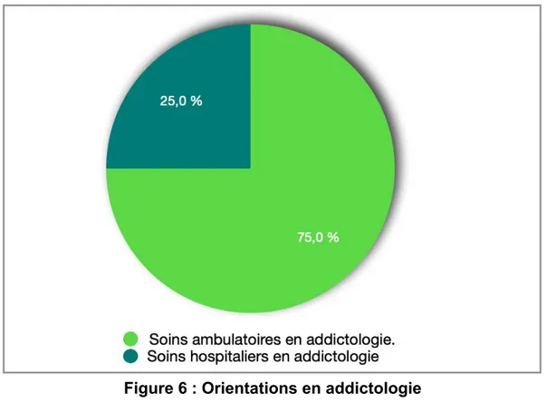 Figure 6 : Orientations en addictologie 