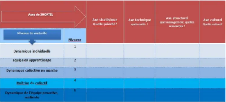 Figure 3 : Le modèle adapté de Shortell  