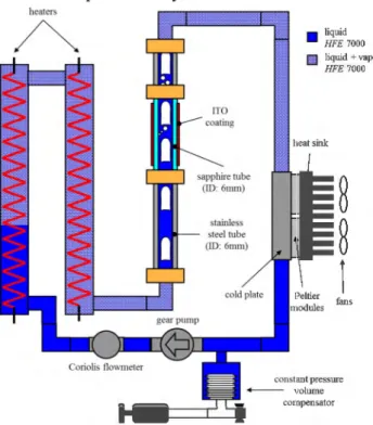 Figure 2:  Schematic of the test section. 