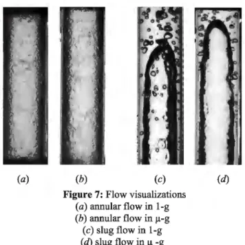Figure  7  shows  annular  flow  and  slug  flow  with  nucleated  boiling  in  1-g  and  JJ.-g,  and  Figure  8  shows  a  comparison  between  bubbly  flows  in  1-g  and  JJ.-g  for  the  same  parameters  (G,  x  and  qow)