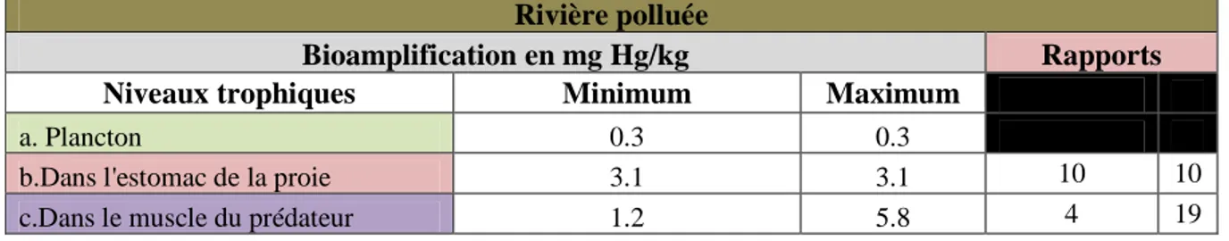 Tableau 3.3 Bioamplification du mercure dans une rivière polluée 