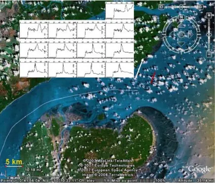 Figure 2.4: Example of observed waveforms obtained with Jason-1 altimeter over Amazonia area (extracted from [Smith et al., 2008]).