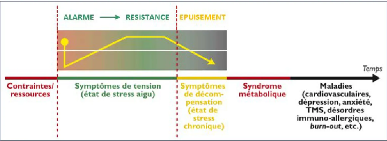 Figure 5 : Conséquences délétères pour la santé (Chouanière 2006) 
