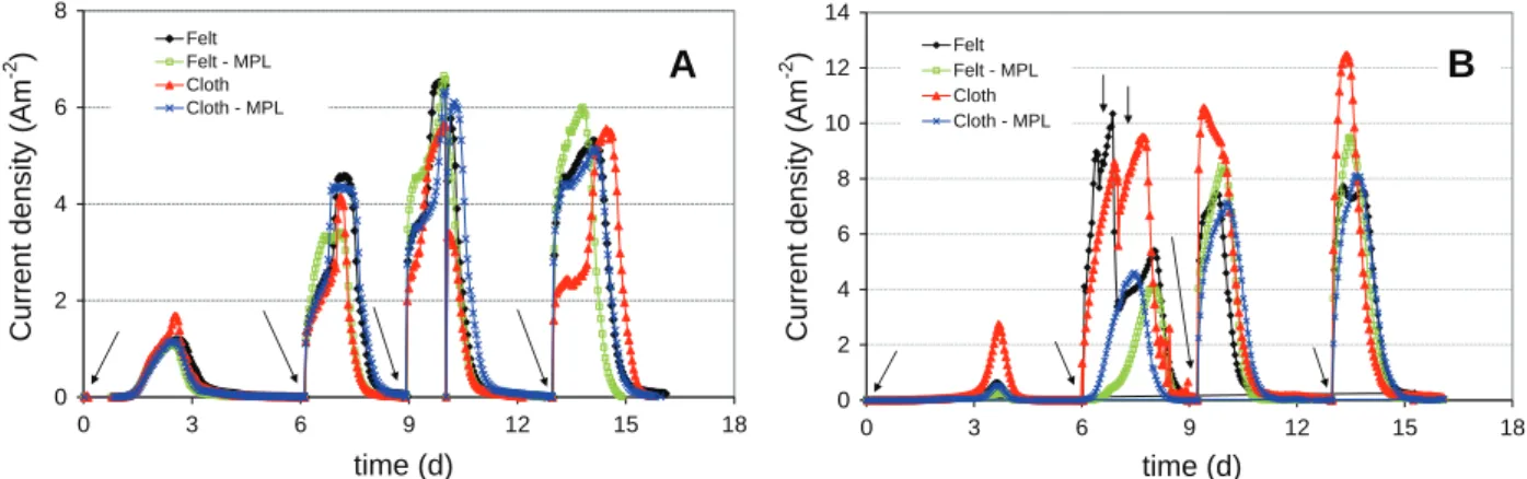 Fig. 1. Current densities during bioanode formation on electrodes with different topographies (carbon felt, MPL-carbon felt, carbon cloth, MPL-carbon cloth)
