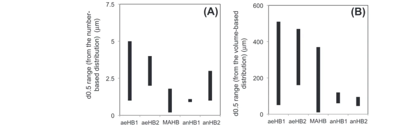 Fig. 5. Ranges of the d 0.5 ( l m) of the five different biofilms, calculated from the number (A) and volume-based (B) distributions