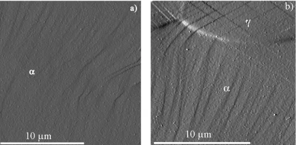 Figure 11 : bandes de glissement dans un grain ferritique - ε p  = 1.8% - a) : type F1, b) :  type F2 (images en mode erreur) 