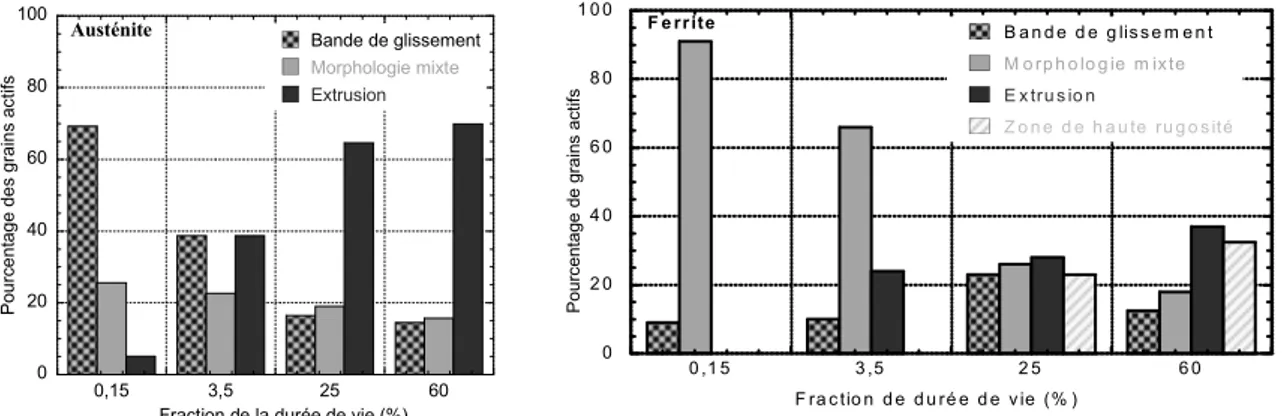 Figure 23 : évolution, avec la durée de vie, des différentes morphologies de surface : à gauche  pour l’austénite, à droite pour la ferrite 