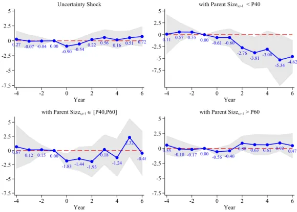 Figure A.4: Affiliate Outcome Path Following an Interquartile Shift in the Distribution of Uncertainty Conditional on Parent Company Past Size
