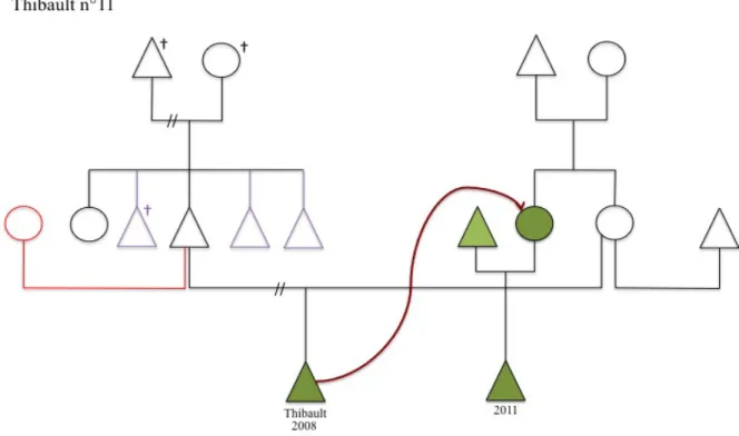 Figure 7 – Arbre de Thibault (11) 