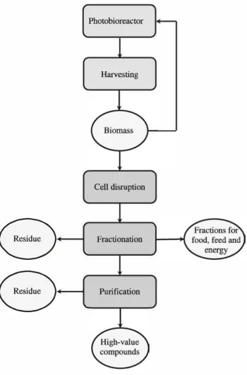 Fig. 1  A microalgae  biorefinery 