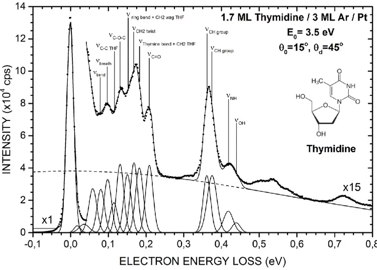 FIG 3.2. A representative electron energy loss spectrum recorded with electrons of 3.5 eV incident on 1.7 monolayer (ML) of  thymidine deposited on 3 MLs of Ar