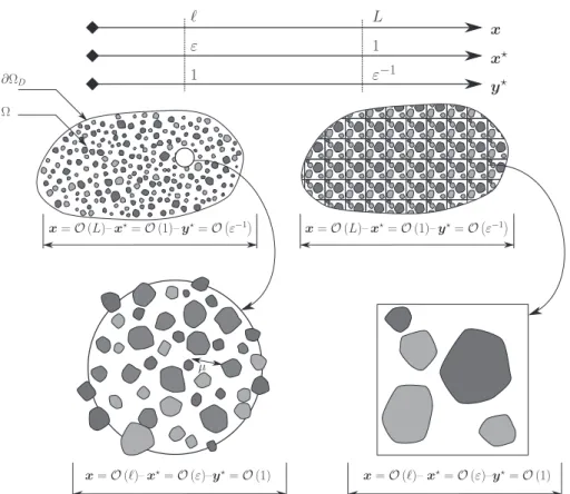 Fig. 2. Schematic diagram illustrating micro- and macroscale descriptions. The microscale differential operator, L, applying to u, is transformed into a macroscale operator, M, that involves effective parameters and applies to the average value u h i.