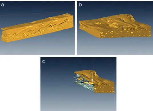 Fig. 2 shows the 3D reconstructed volumes of the two types of membrane. For both, two images are presented: the reconstructed volume (Fig