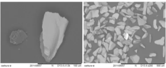 Figure 2: SEM photographs of SiC.