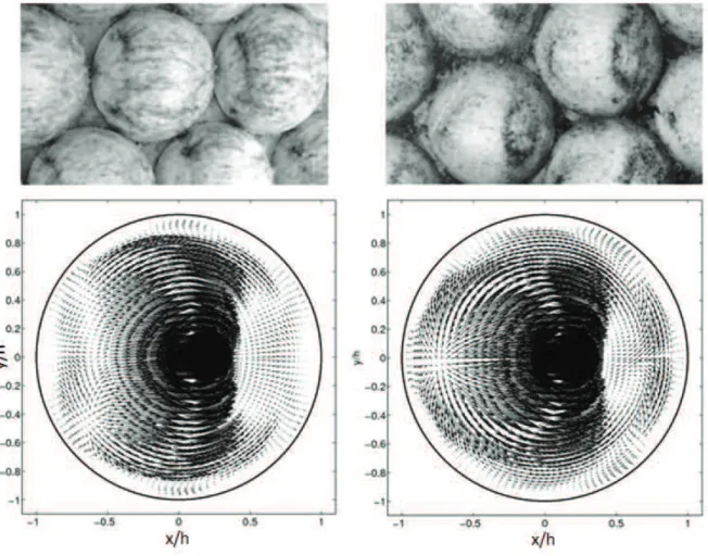 Figure 30 – Photographies de motifs de colonisation dans les deux arrangements d’hémi- d’hémi-sphères (en haut) et distribution des cisaillements de vitesse au voisinage des hémid’hémi-sphères pour des simulations numériques correspondantes aux expériences
