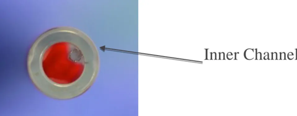 Figure 16 : Inner channel de l’Embotrap(57) 
