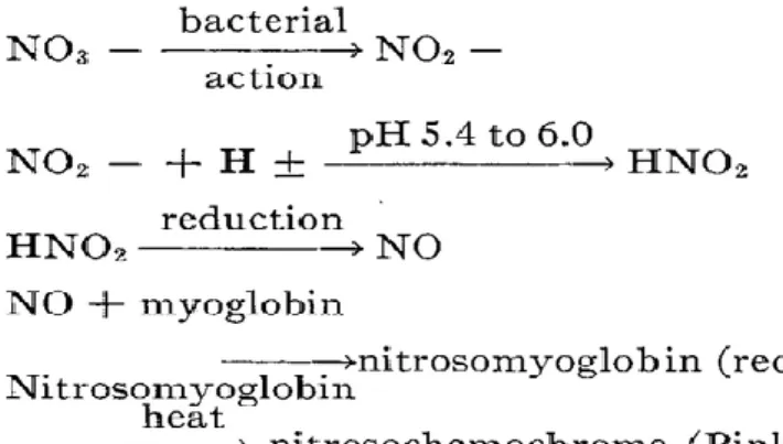 Figure 4 : Réaction de réduction des nitrates dans les produits carnés [34]. 