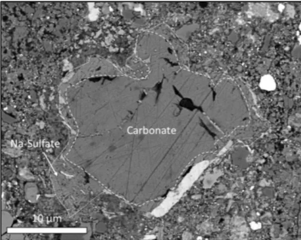Figure 1.12 : Image en microscopie électronique à balayage (BSE) d’un carbonate précipité dans la matrice de Paris