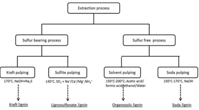 Figure  1.8.  Different  extraction  processes  to  separate  lignin  from  lignocellulosic  biomass  and  the  corresponding technical lignins