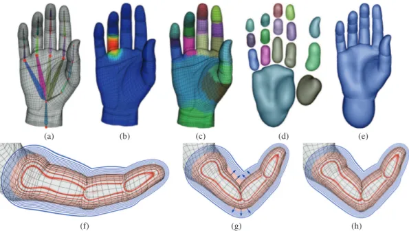 Figure 2: Overview. (a) An input mesh with its animation skeleton, (b) deformation weights at a joint, and (c) mesh segmentation