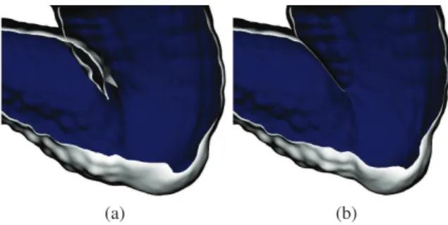 Figure 9: Animation of the Armadillo’s knee (a). (b) The result of the projection without smoothing