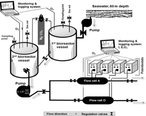 Fig. II.6.  Continuously fed with fresh media test loop scheme. 