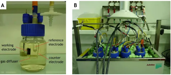 Fig. II.8.  Experimentl set-up: A) EIS Biorector; B) multiple-experimens run. 