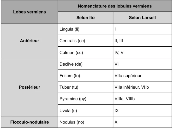 Tableau 1 : Systématisation du vermis humain selon Ito et Larsell [10] 