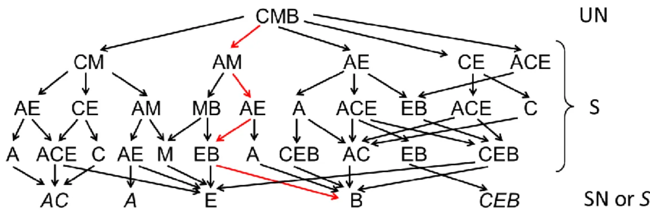 Figure 2.8. The feasible product sequences at P 2 =10 bar (Mixture 1),  with one sequence marked by red