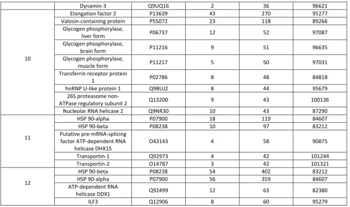 Tableau 6:  Identification  des  protéines  après  immunoprécipitation  anti‐HA  dans  les  cellules  MDA‐MB‐231‐