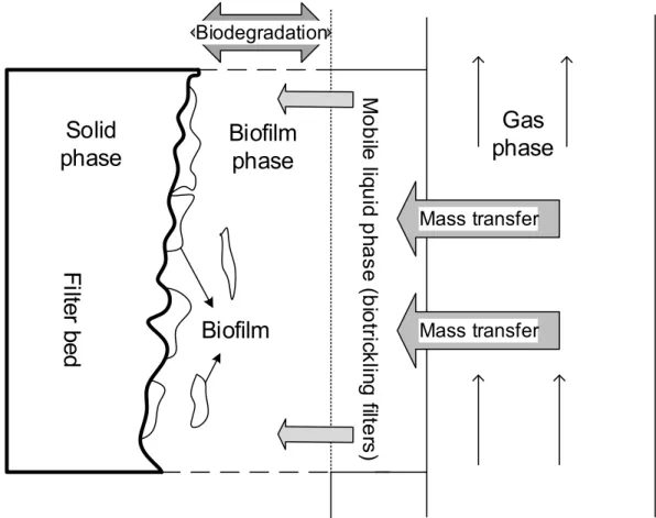 Figure 2.1: The main phenomena and limitations in biofiltration and biotrickling filtration     