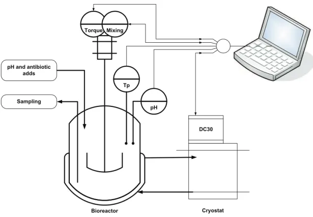 Fig. 1. Experimental set-up.