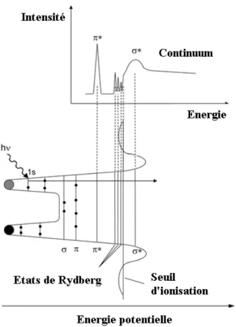 Figure 3.3. Spectre XAS typique, adapté de [137]. 