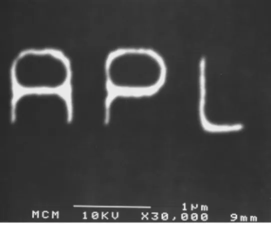 FIG. 3. SEM micrograph of a microstructure.