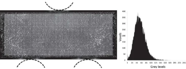Fig. 7 Longitudinal displacement field of three-point bending test