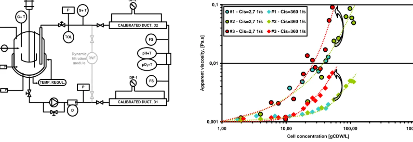 Fig. 1: Overview of experimental set-up  Fig. 2: Evolution of apparent viscosity (cell broth) as a function  of  cell  concentration  and  impact  of  mycelial  transition  on  rheological behaviour