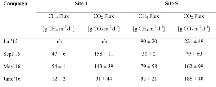 Table 4. Summary of gas fluxes at primary locations for model 357 