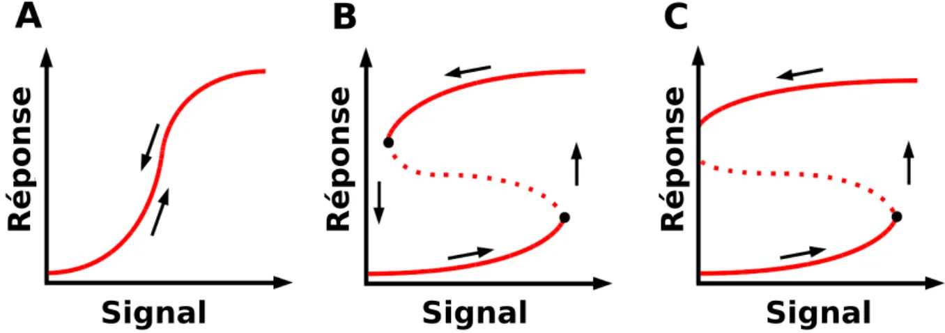 Figure 4.1  Courbes signal-réponse présentant diérentes caractéristiques. A- Ultra- Ultra-sensibilité de la réponse en fonction d'un seuil de signal (monostabilité)