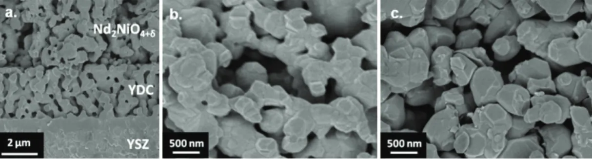 Fig. 2. SEM micrographs of (a) cell 5, (b) cathode layer of cell 5 and (c) cathode layer of reference cell.