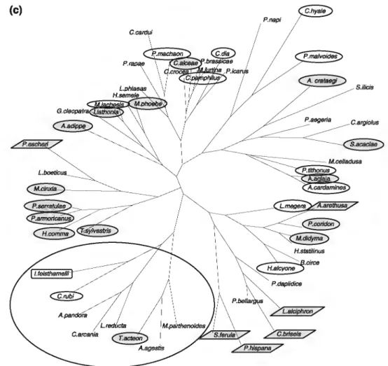 Fig.  4  continued  {c) 