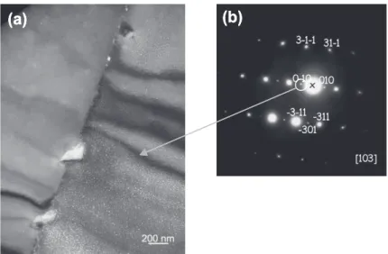 Fig. 2. Schematic representation of specimens containing localized deformation bands which are then exposed to simulated PWR water.