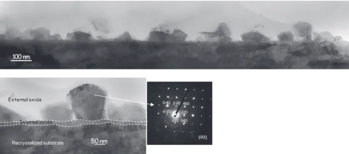 Fig. 11. Bright ﬁeld image showing elongated nanograins in the substrate and a speciﬁc diffraction pattern in the recrystallized area.