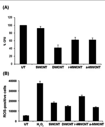 Fig. 6 SEM images of Candida albicans cells after incubation with PBS for 24 h (A and B) and yeast cells after exposure for 24 h with SWCNTs (C and D), or r-MWCNTs (E and F), a-MWCNTs (G and H), DWCNTs (I and J) suspensions (100 mg ml 1 ).