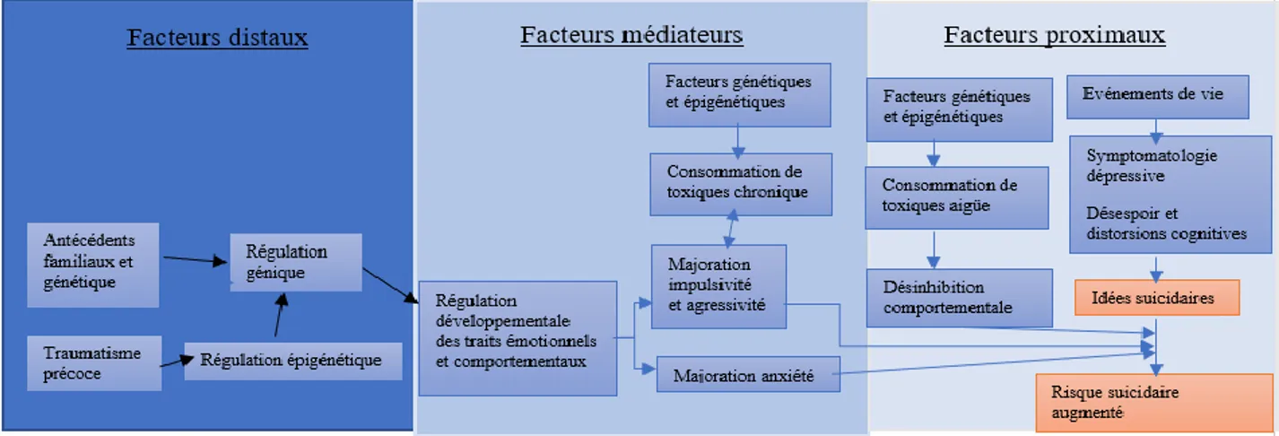 Figure 3 : Facteur de risque du suicide (traduit de Turecki (2014)) (22) 