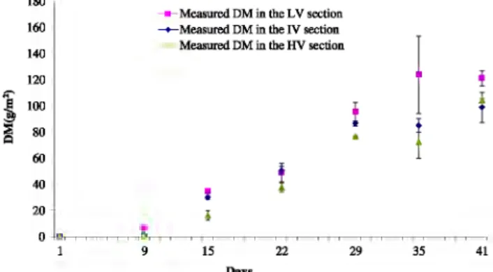 Fig. 3 - Evolution of the DM  ±  SE (g  m  -~  in the three flow  sections (LV,  IV and HV)  at different days after inoculum