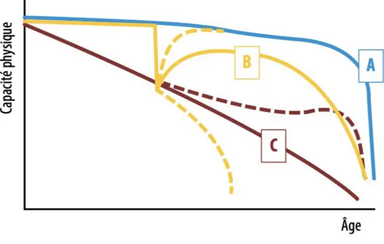 Figure 9 : Trois trajectoires hypothétiques de capacités physiques :  courbes de Bouchon (11) 