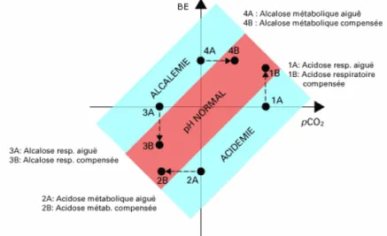Graphique C : interprétation du BE en fonction du pH et de la pCO2 